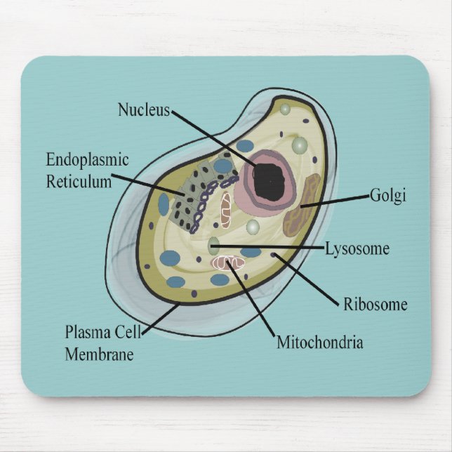 Human Cell Biology T-Shirts Mouse Mat (Front)