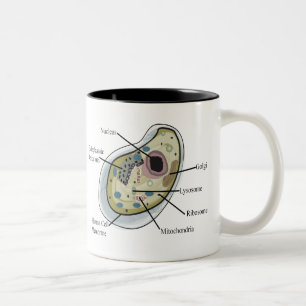 Human Cell Biology T-Shirts Two-Tone Coffee Mug
