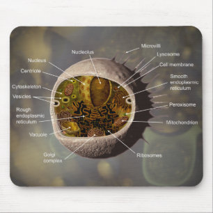 Human Cell mousepad