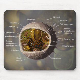 Human Cell mousepad