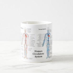 Human Circulatory System of Arteries and Veins Coffee Mug