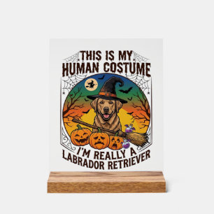 Human Costume Labrador Retriever Halloween Witch H Acrylic Sign