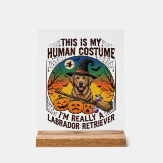 Human Costume Labrador Retriever Halloween Witch H Acrylic Sign