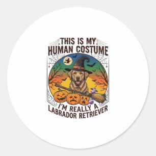Human Costume Labrador Retriever Halloween Witch H Classic Round Sticker