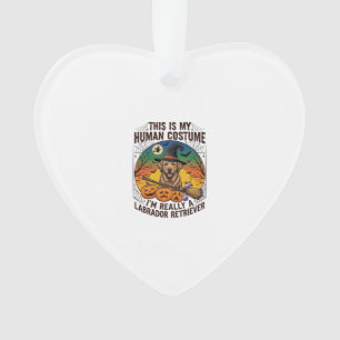 Human Costume Labrador Retriever Halloween Witch H Ornament