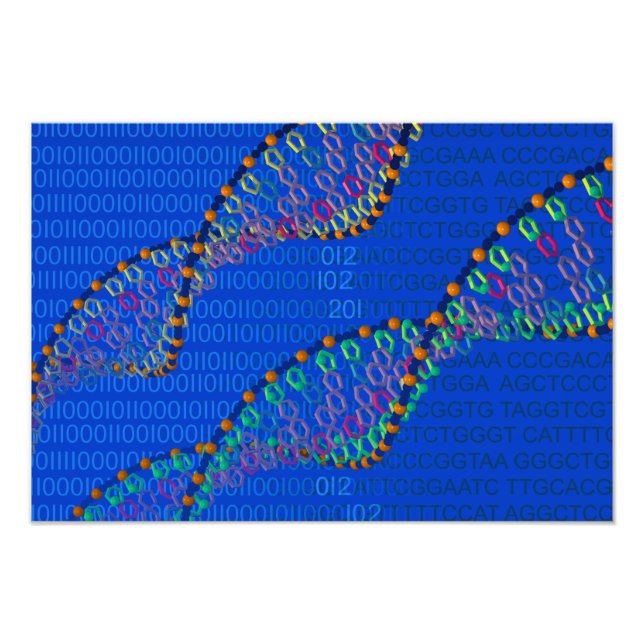 Human DNA and synthetic DNA poster (Front)