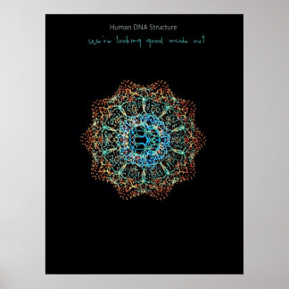 Human DNA Poster