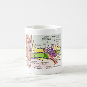 Human Ear Cochlear Frequency Mapping Diagram  Coffee Mug