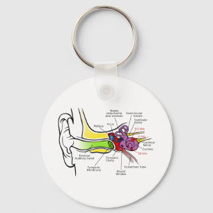 Human Ear Diagram with Cochlear Frequency Mapping Key Ring