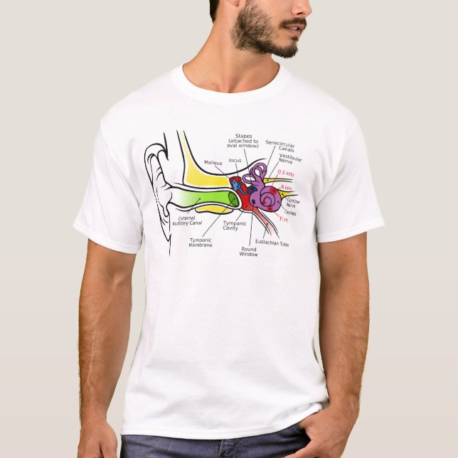 Human Ear Diagram with Cochlear Frequency Mapping T-Shirt (Front)