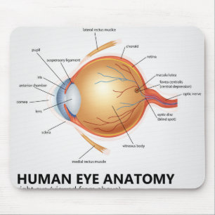 Human Eye Anatomy of Right Eye Mouse Mat