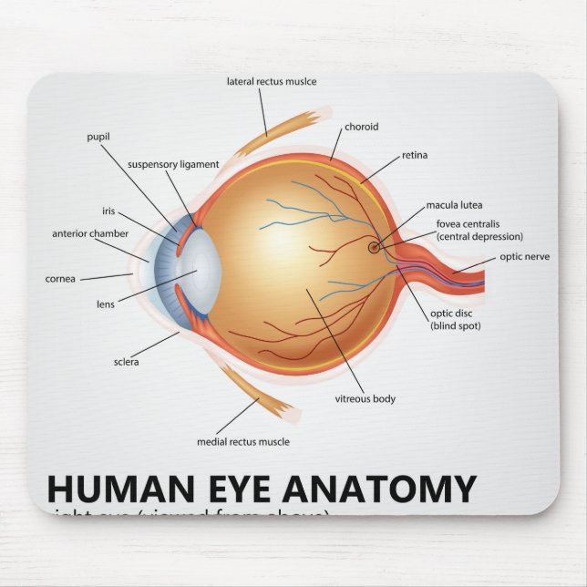 Human Eye Anatomy of Right Eye Mouse Mat (Front)