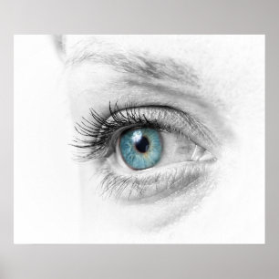 Human eye closeup poster