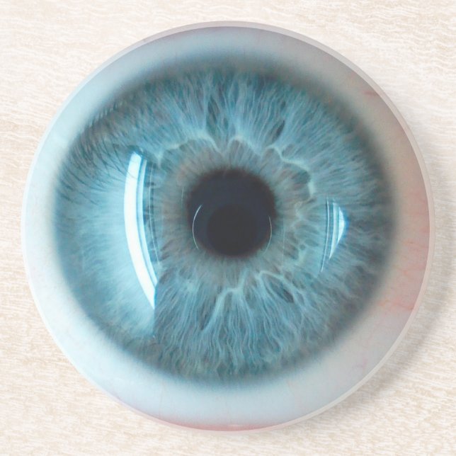 Human Eye Coaster (Front)
