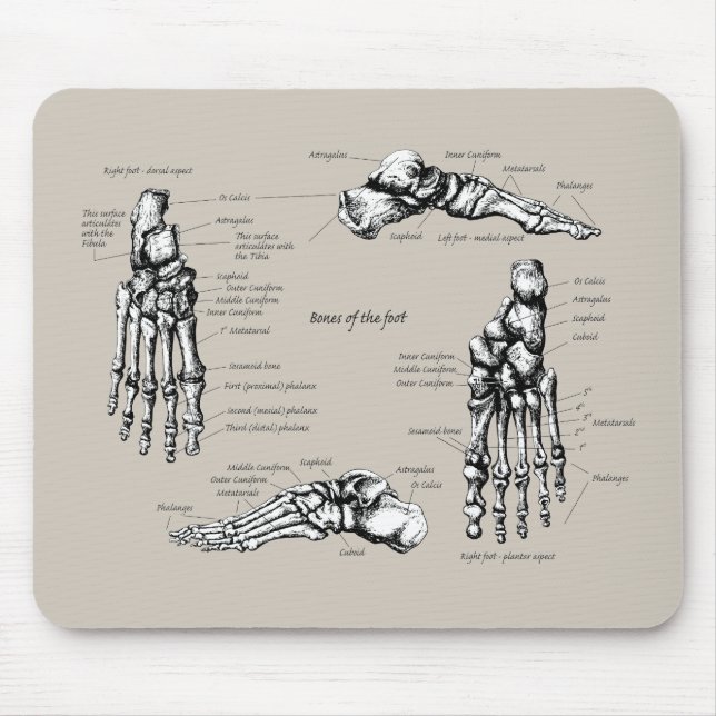Human foot mouse mat (Front)