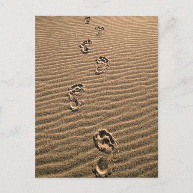 Human footprints on sandy beach postcard (Front)