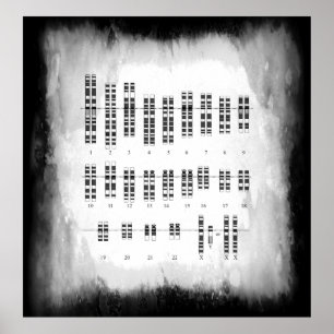 HUMAN GENETIC VARIATION - KARYOTYPE POSTER