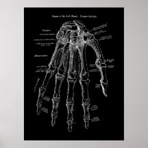 Human Hand Bone Anatomy Art