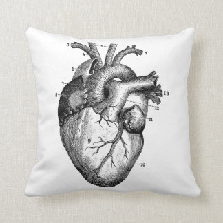 Human heart - anatomy cushion