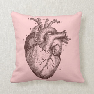 Human heart - anatomy cushion