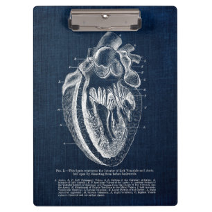 Human Heart Anatomy Interior View Clipboard