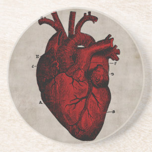 Human Heart Coaster