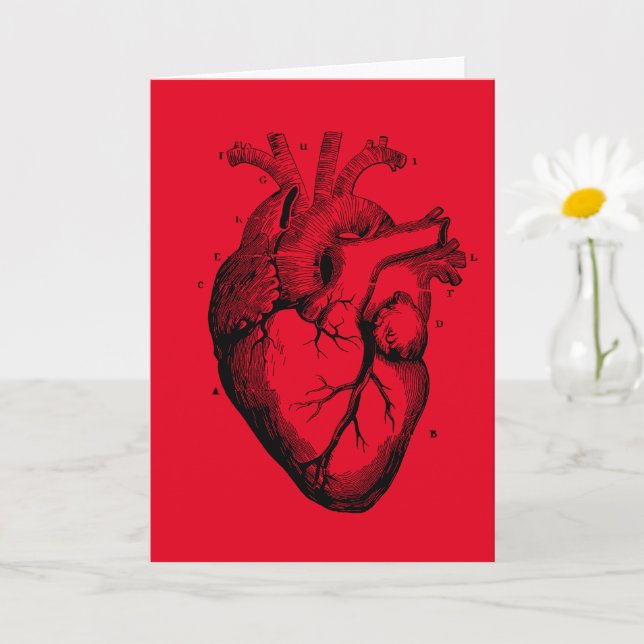 Human Heart Diagram greeting card for any occasion (Small Plant)