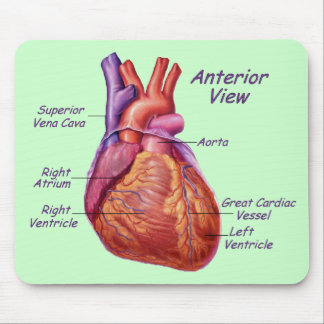 Human Heart Labelled Mousepad