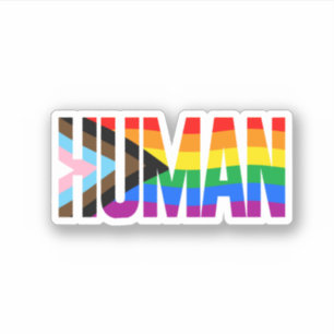 Human Inclusivity Pride Flag