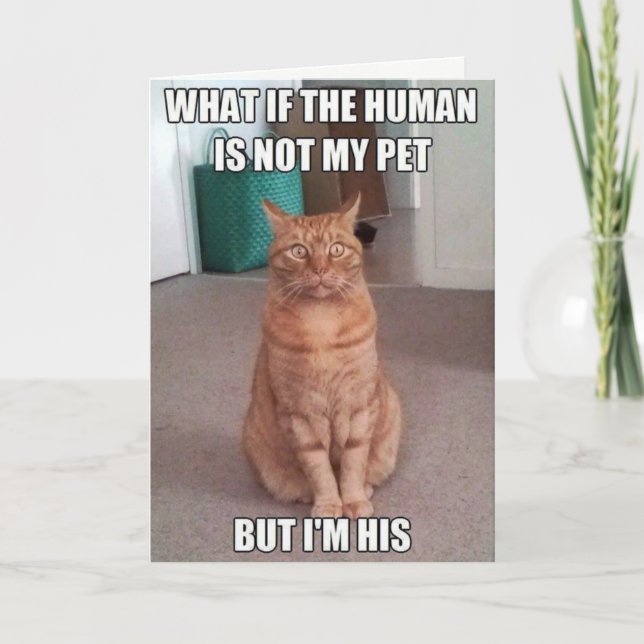 Human is not my pet card (Front)