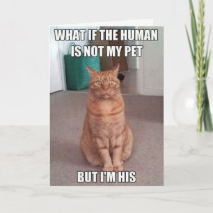 Human is not my pet card