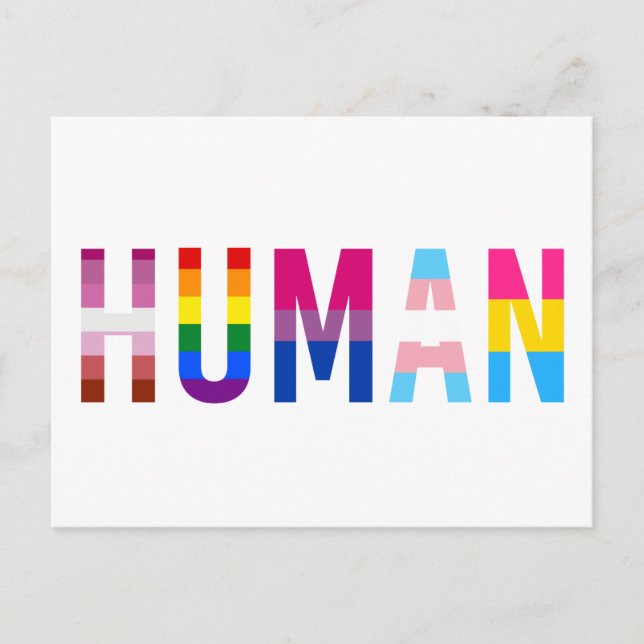 HUMAN LGBT Flag Gay Pride Month Transgender Postcard (Front)