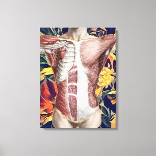 human Male anatomy abstract original art Canvas P