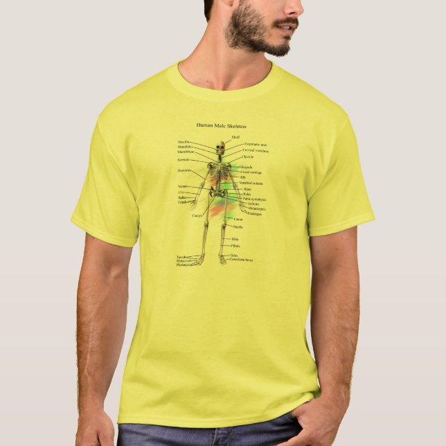 Human Male Skeleton t-shirt (Front)