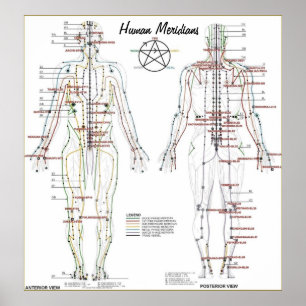 Human Meridians & Pressure Point Chart Poster