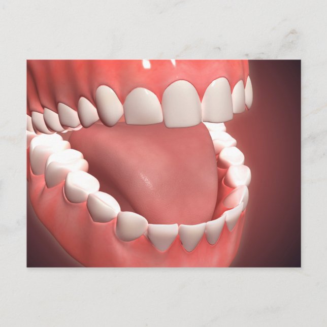 Human Mouth Open, Showing Teeth, Gums And Tongue Postcard (Front)
