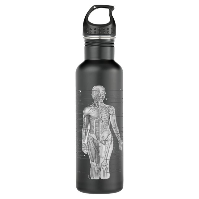 Human Muscle Anatomy Design Gift Idea 710 Ml Water Bottle (Front)