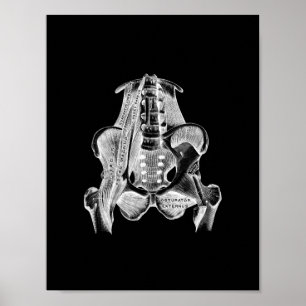 Human Muscle Anatomy in Black and White Print