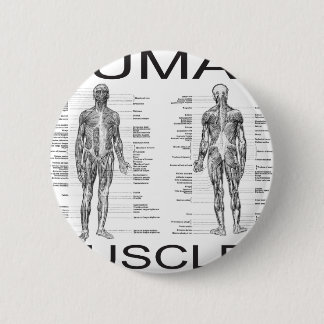 Human Muscles and Anatomy 6 Cm Round Badge