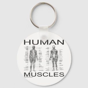 Human Muscles and Anatomy Key Ring