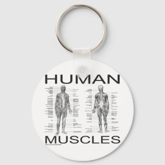 Human Muscles and Anatomy Key Ring
