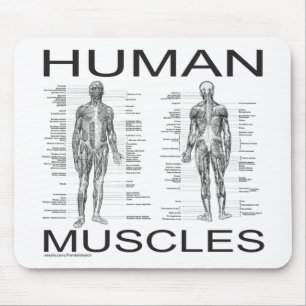 Human Muscles and Anatomy Mouse Mat