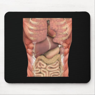 Human Muscles Organs Scary Anatomy Teacher Hallowe Mouse Mat