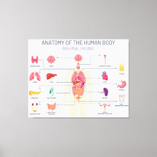 Human organs system canvas print