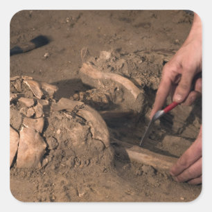 Human remains square sticker