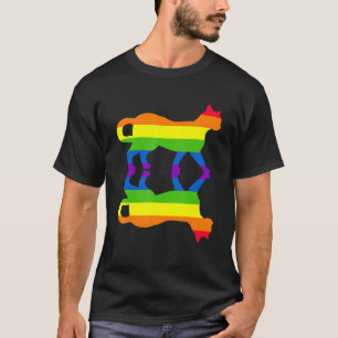 Human Rights Animal Cat Lgbtq Gay Pride Rainbow Fl T-Shirt