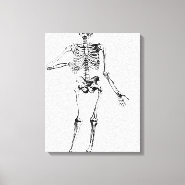 Human Skeleton Canvas Print (Front)