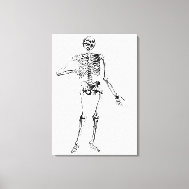 Human Skeleton Canvas Print (Front)