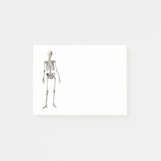 Human skeleton for Boy Girl Birthday Gift Post-it Notes (Front)
