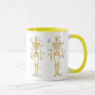 Human Skeleton labelled anatomy chart Mug